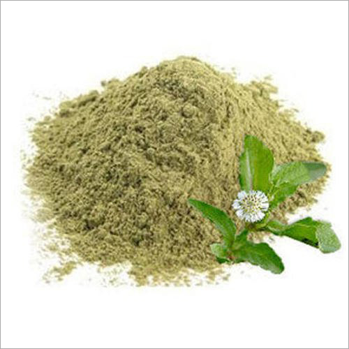 Cissus Extract 40%